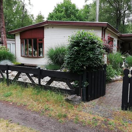 Sfeervol, Ruim En Luxe Chalet In Bosrijke Omgeving Vila Diessen Exterior foto