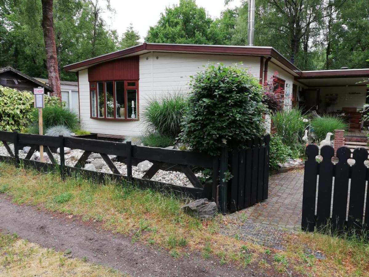 Sfeervol, Ruim En Luxe Chalet In Bosrijke Omgeving Vila Diessen Exterior foto